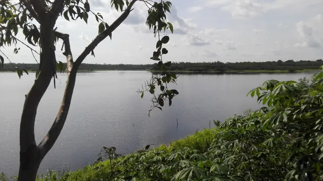 place image