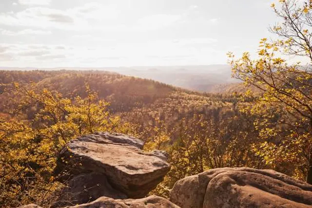 Pfälzerwald e. V. Nature Park