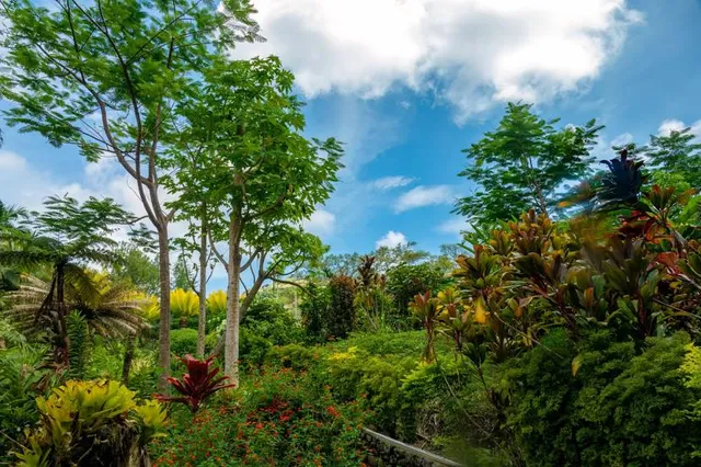 Garden of the Sleeping Giant