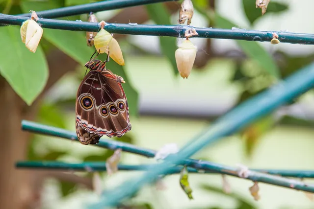Portsmouth Natural History Museum
