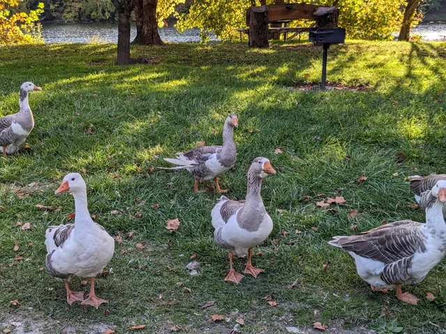 Shenandoah Landing and River Park