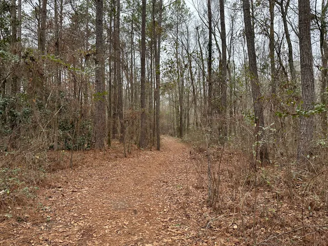 Swayback Bridge Trail