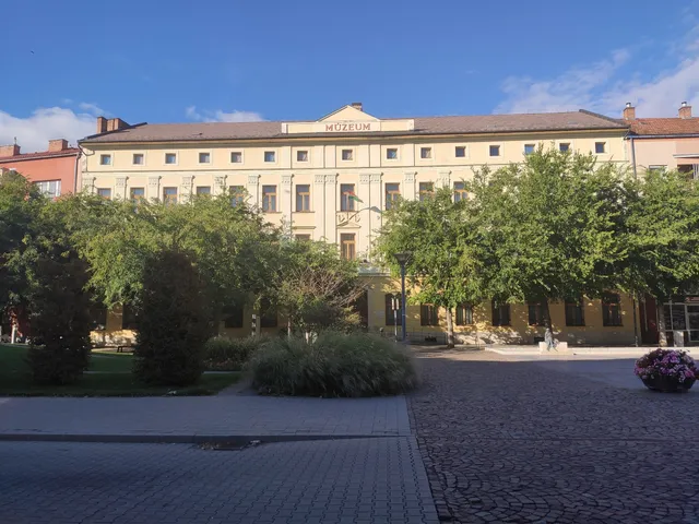 Damjanich János Museum