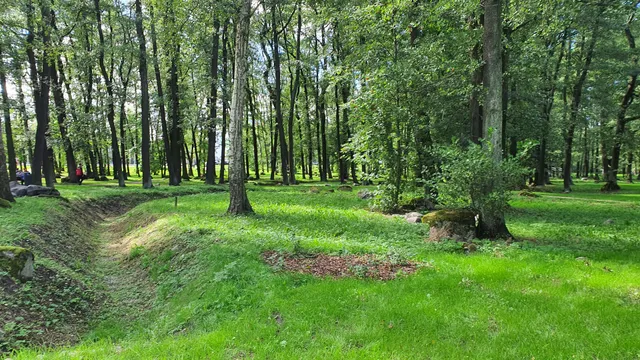 Kopli Birch Park