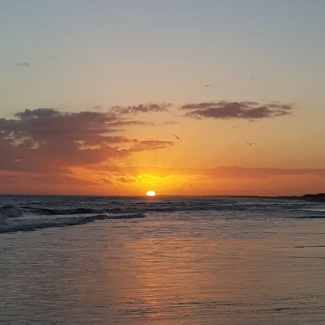 Sonho meu la paloma - Beach house