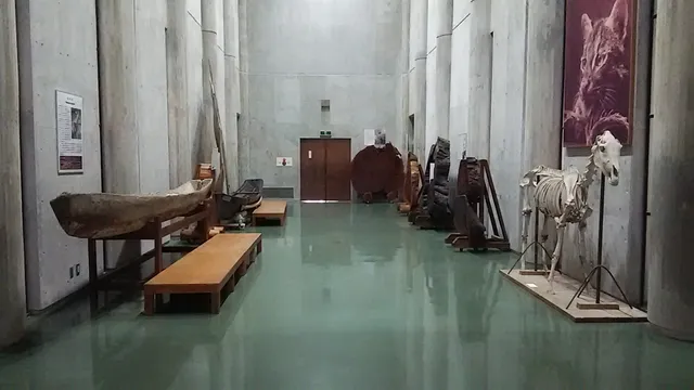 Ryukyu University Museum (Fujukan)