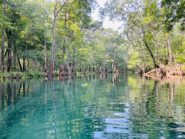 Ichetucknee South Entrance