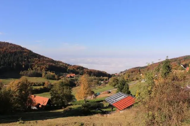 Schwarzwaldhochstraße