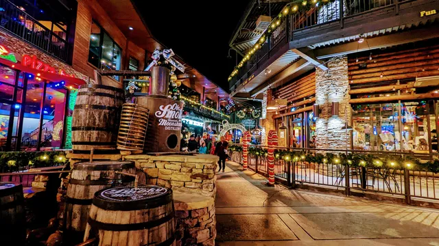 Dick's Last Resort - Gatlinburg