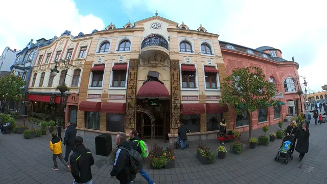 The crazy Hotel Tartuffe