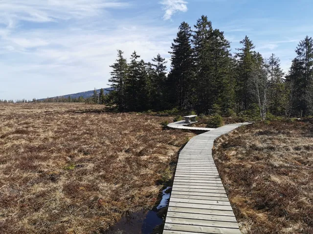 Sonderstempel HWN, WaldWandelWeg