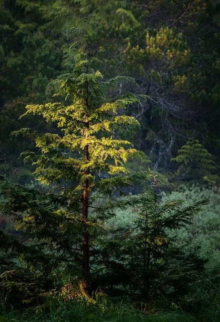 Prudhomme Lake Provincial Park