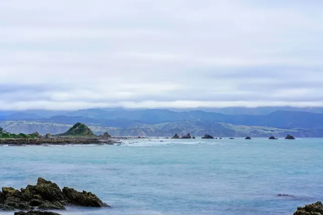 Taputeranga Viewpoint Studio