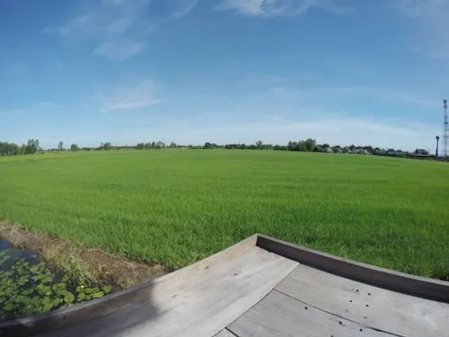 Balneário Do Curiaú