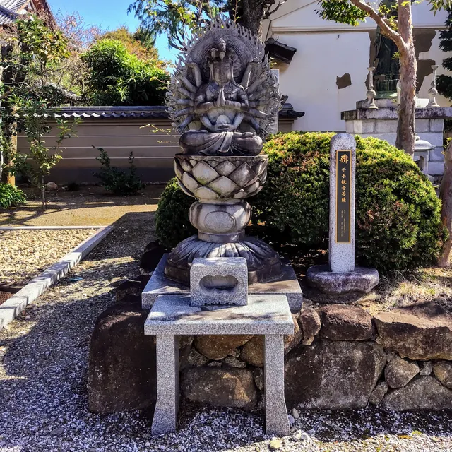 photo-1