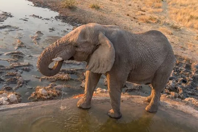 Sárvulkán a Kis-Homoród mentén