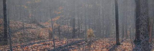 Cape Girardeau Conservation Nature Center