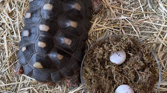 Team E.C.C.O. & the Aquarium & Shark Lab by Team ECCO