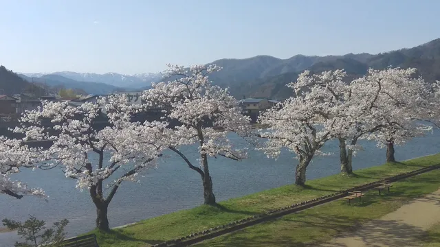 Chiyo no Matsubara Park (Thousand Oak Pine Grove Park)