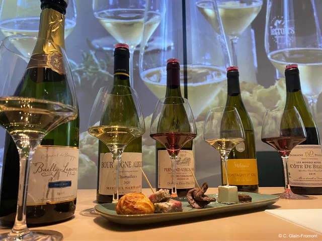 École des Vins de Bourgogne - CIGV Dijon