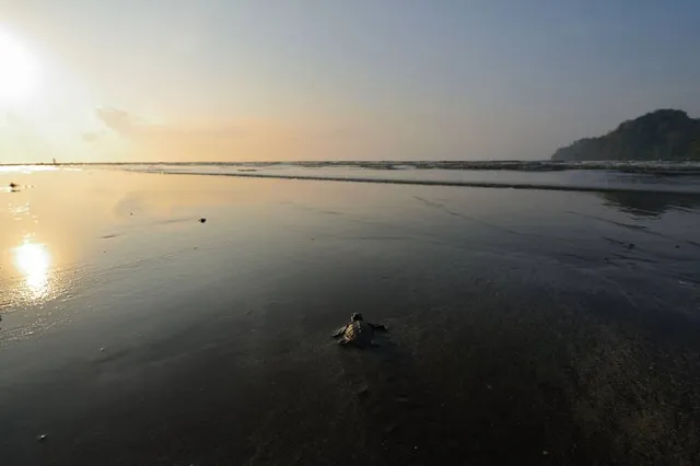 North Andaman Island