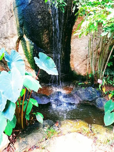 Acapulco Botanical Garden