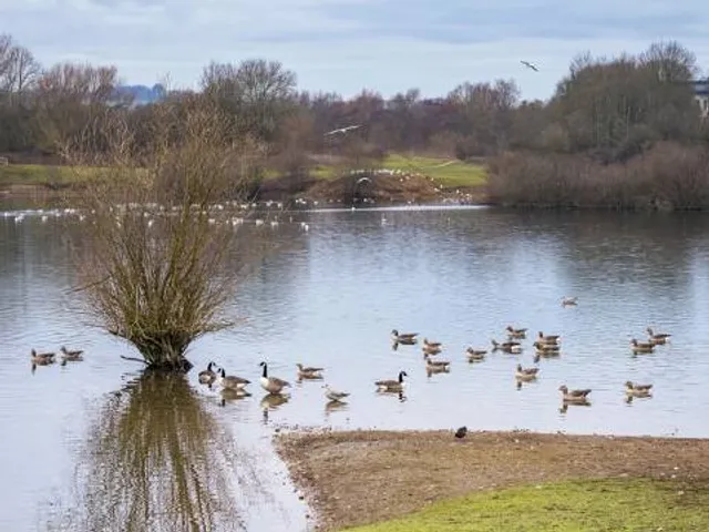 Burton Riggs Nature Reserve