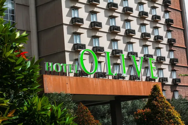 Hotel Olive