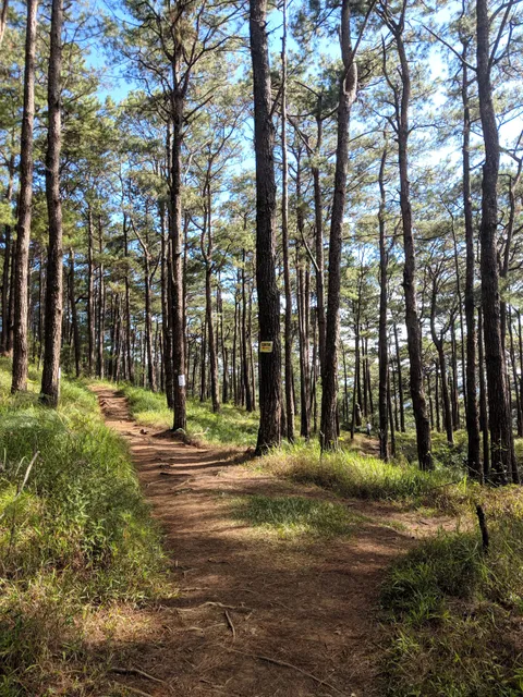 Camp John Hay Eco-Trail