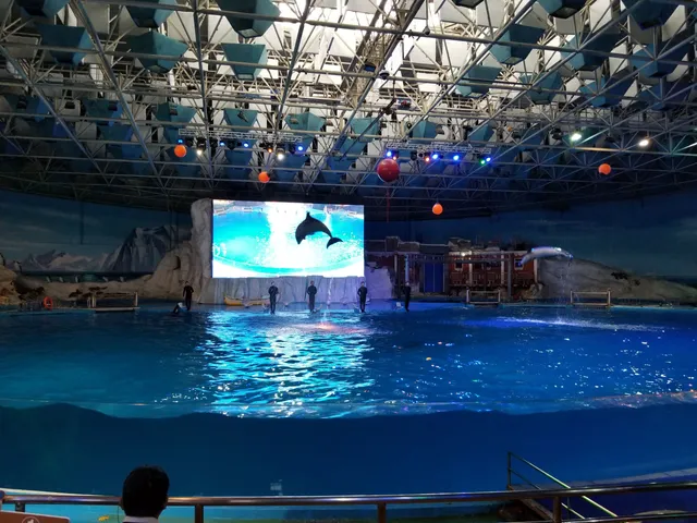 Qingdao Polar Ocean World Co.,Ltd.