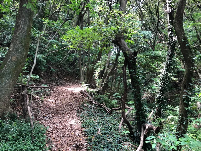 Heiwaminami Ryokuchi Park