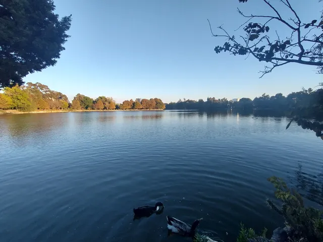 Laguna de San Baltazar