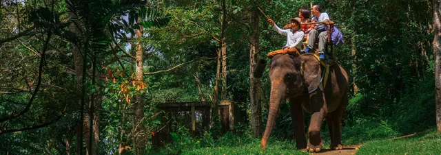 True Bali Experience