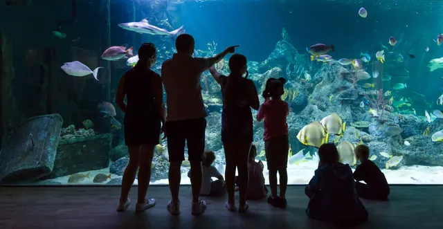 Skegness Aquarium