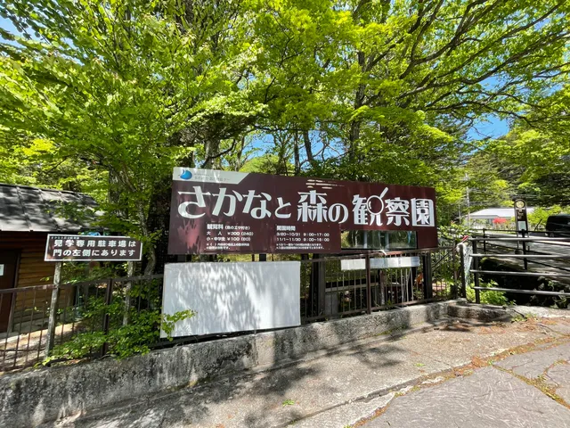 Fish and forest observation Garden