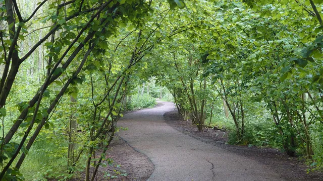 The Boston Woods Trust