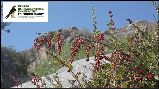 Episkopi Environmental Information Centre