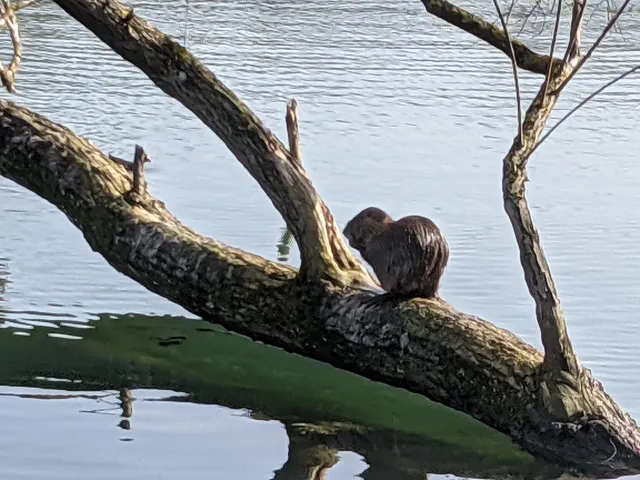 Parc du Moulin du Preblin