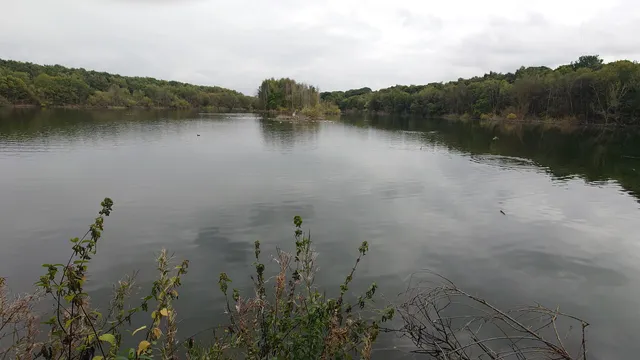 Moore Nature Reserve