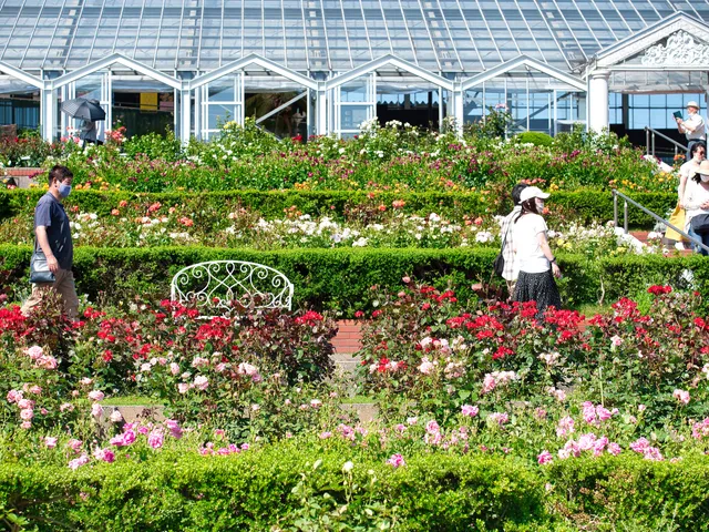 Shimada City Rose Hill Park