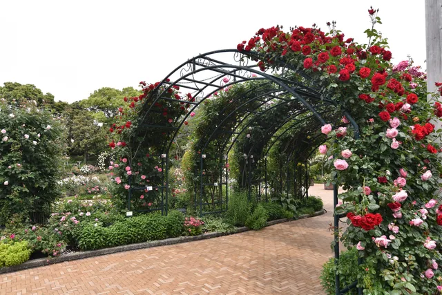 Rose Garden (Bara-en)
