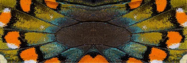 The Castle Escarelle