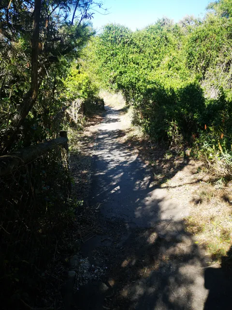 Settlers Park Nature Reserve