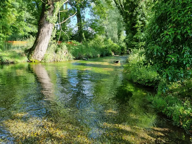 Riserva naturale regionale Sorgenti del Fiume Vera