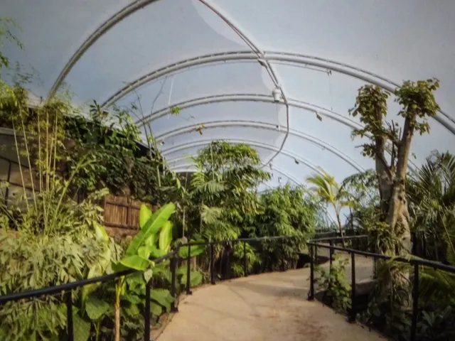 Marwell Zoo Tropical House