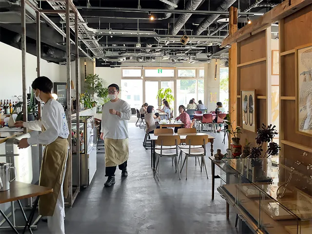 TT" a Little Knowledge Store