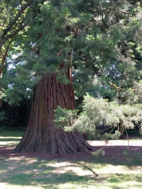 Park Hartenstein