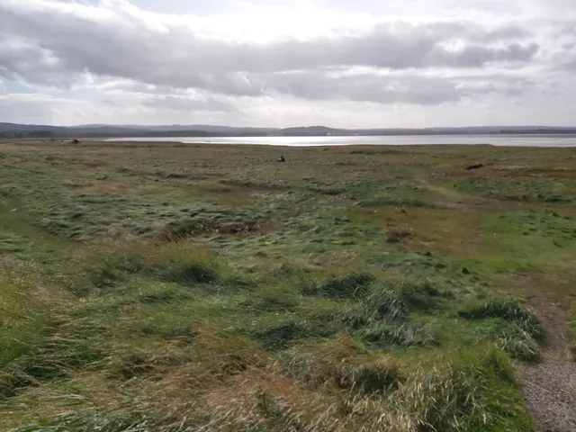 Findhorn Bay Local Nature Reserve
