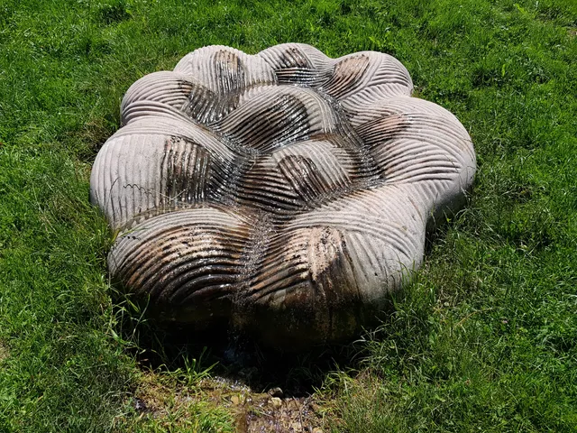 Source De L'Ill à Winkel