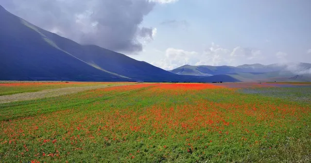 Llanura de Castelluccio